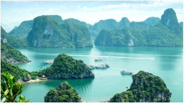 Safety Tips for Special Types of Travelers