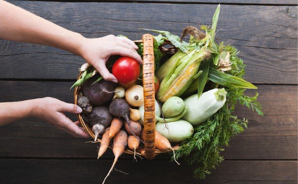 The Homeowner's Ultimate Seasonal Planting Guide