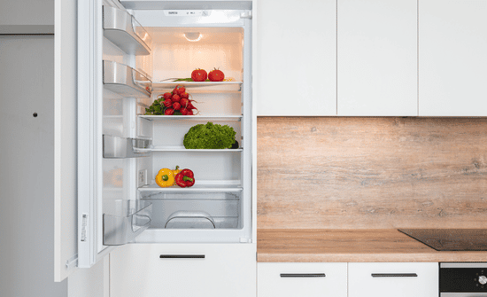 The Refrigerator and Freezer