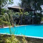 What to Know Before Building a Backyard Pool