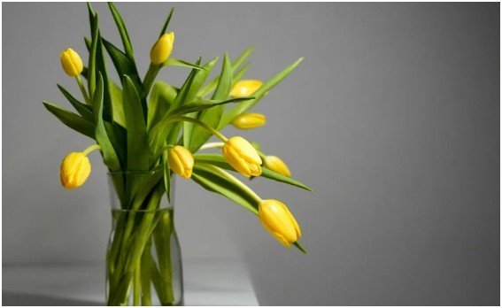 The Scenario: A Sunday Morning Reset